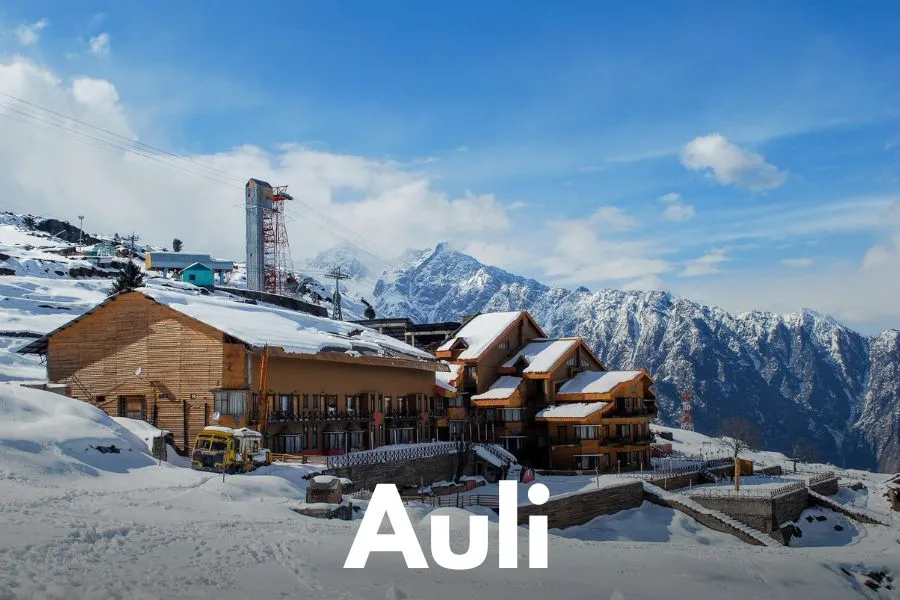 Auli