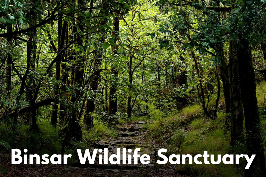 Binsar Wildlife Sanctuary