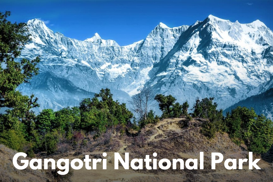 Gangotri National Park